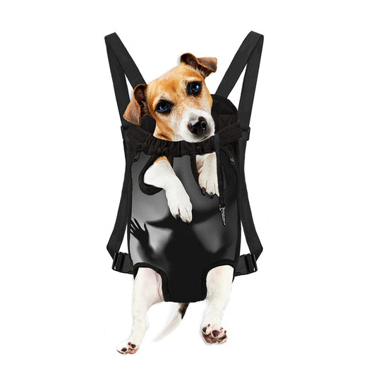 Halloween Horror Witch Print Pet Carrier Backpack