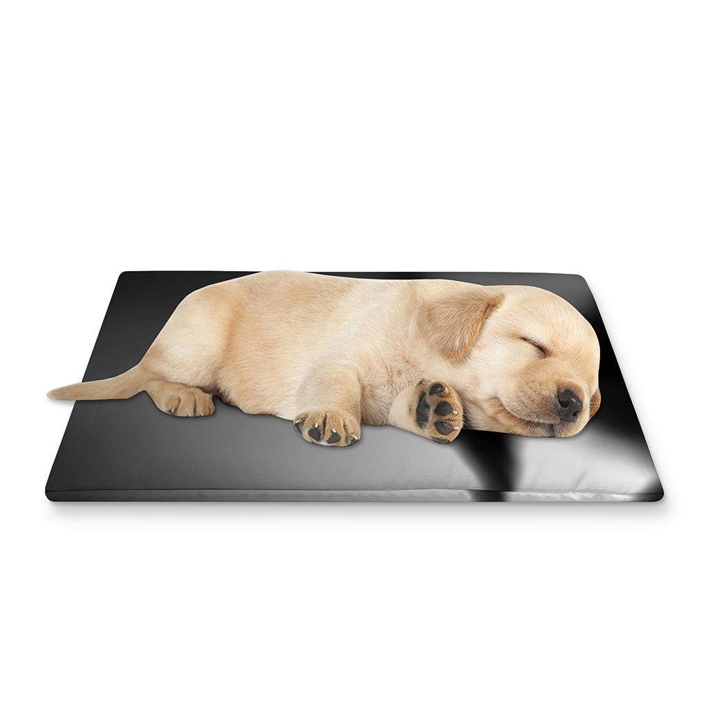 Halloween Horror Witch Print Pet Cooling Mat Cover