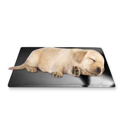 Halloween Horror Witch Print Pet Cooling Mat Cover