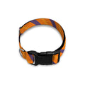 Halloween Line Pattern Print Dog Collar