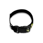 Halloween Mummy Print Dog Collar