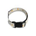 Halloween Polka Dot Pattern Print Dog Collar