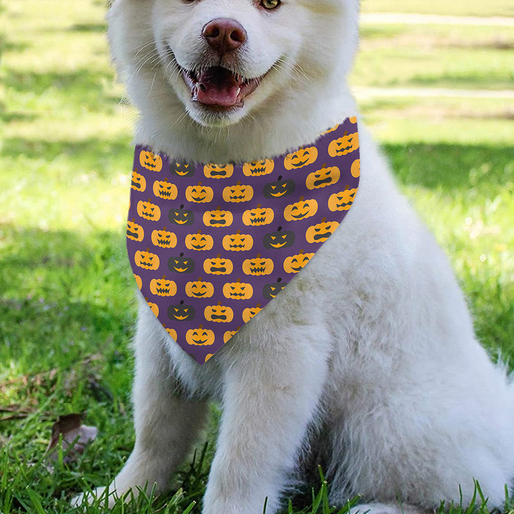Halloween Pumpkin Pattern Print Over The Collar Dog Bandana