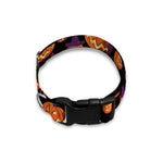 Halloween Pumpkin Witch Pattern Print Dog Collar