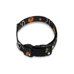 Halloween Skeleton Party Pattern Print Dog Collar