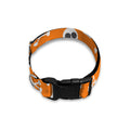 Halloween Skull Pattern Print Dog Collar