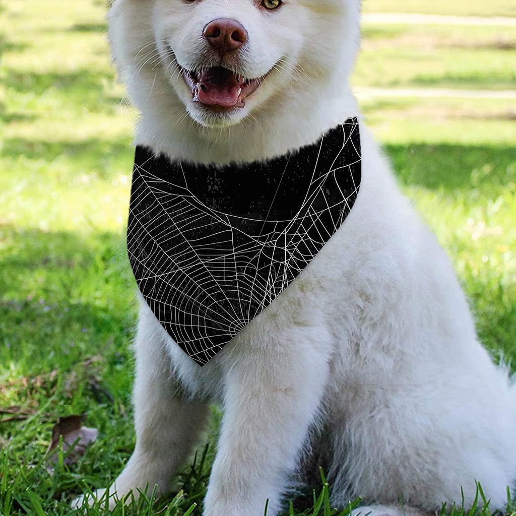 Halloween Spider Web Print Over The Collar Dog Bandana