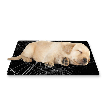 Halloween Spider Web Print Pet Cooling Mat Cover