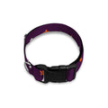 Halloween Stars Pattern Print Dog Collar