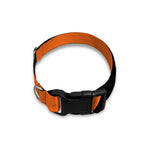Halloween Vampire Coffin Print Dog Collar