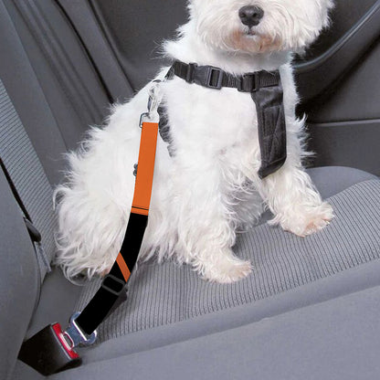 Halloween Vampire Coffin Print Dog Seat Belt