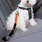 Halloween Vampire Coffin Print Dog Seat Belt