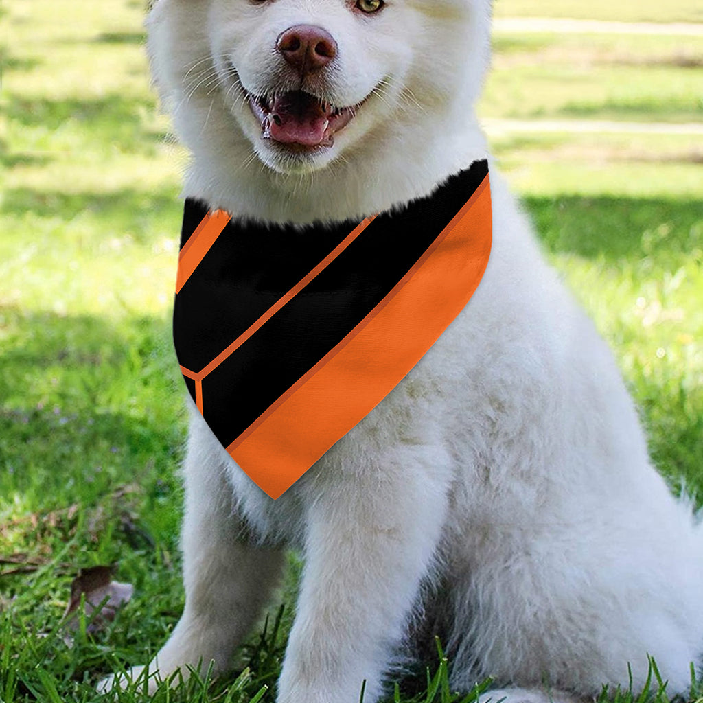 Halloween Vampire Coffin Print Over The Collar Dog Bandana
