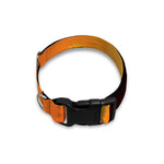 Halloween Walking Zombie Print Dog Collar