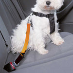 Halloween Walking Zombie Print Dog Seat Belt