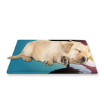 Halloween Witch And Cauldron Print Pet Cooling Mat Cover