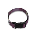 Halloween Zombie Crowd Print Dog Collar