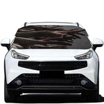 Halloween Zombie Hands Print Car Windshield Snow Cover