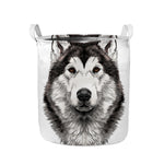 Hand Drawn Alaskan Malamute Print Collapsible Laundry Basket