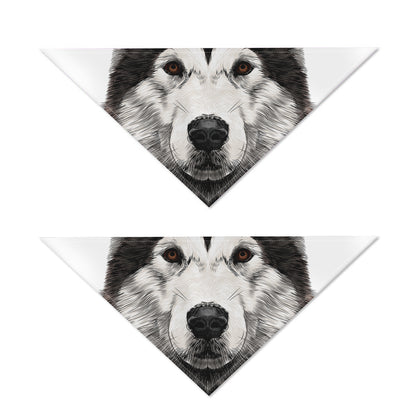 Hand Drawn Alaskan Malamute Print Dog Bandana
