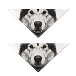 Hand Drawn Alaskan Malamute Print Dog Bandana