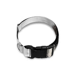 Hand Drawn Alaskan Malamute Print Dog Collar