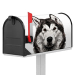 Hand Drawn Alaskan Malamute Print Mailbox Cover
