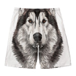 Hand Drawn Alaskan Malamute Print Men's Swim Trunks