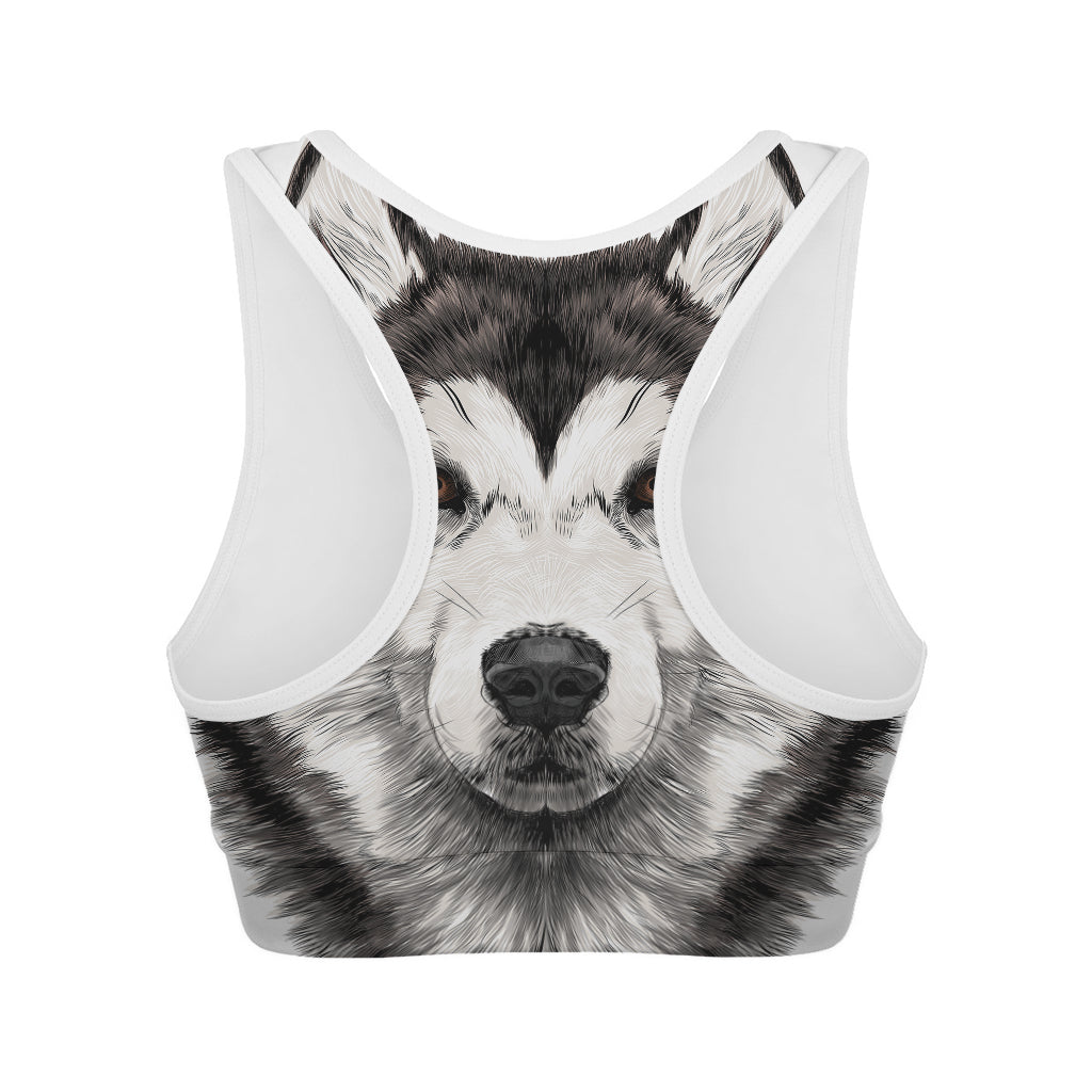 Hand Drawn Alaskan Malamute Print Women's Sports Bra