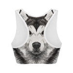 Hand Drawn Alaskan Malamute Print Women's Sports Bra