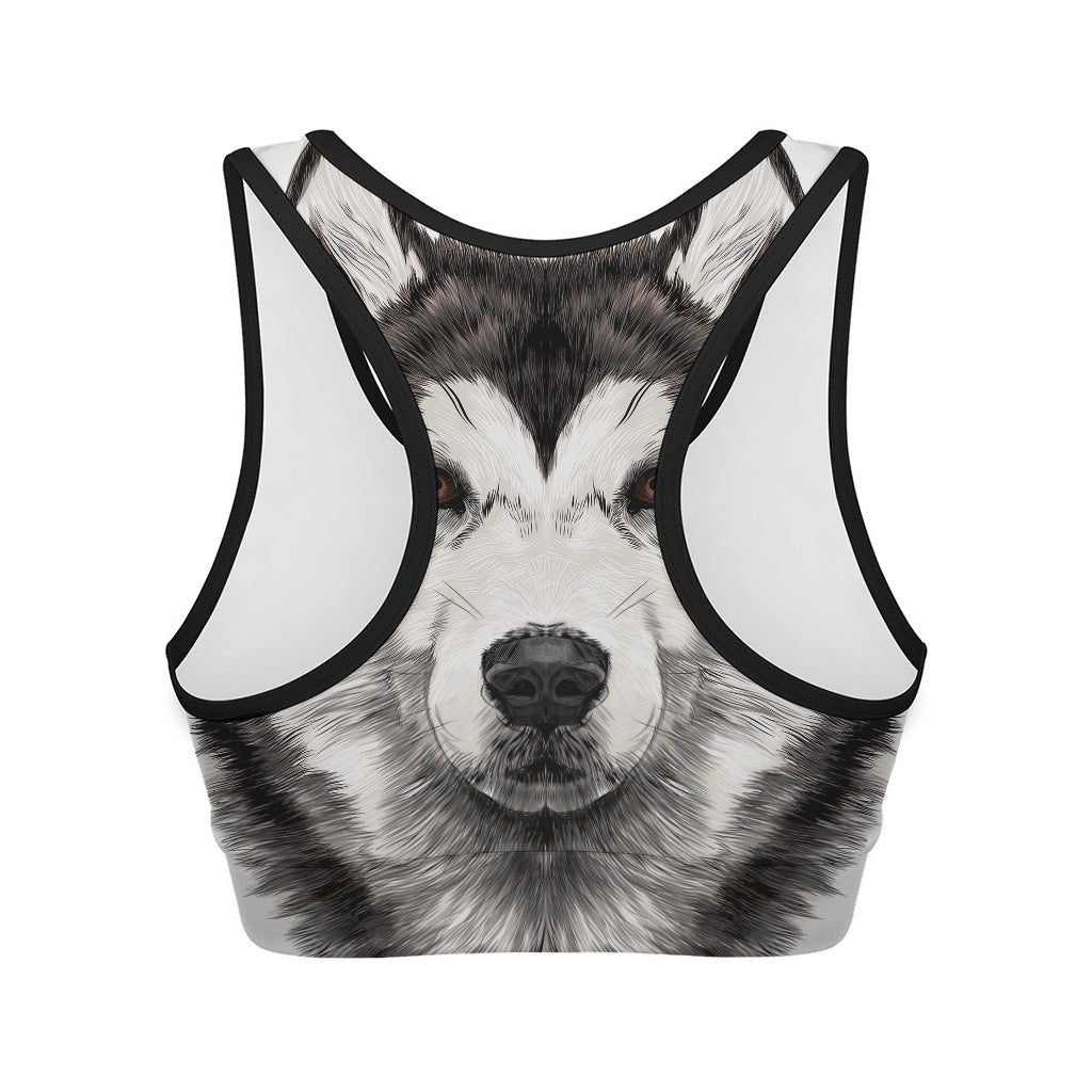 Hand Drawn Alaskan Malamute Print Women's Sports Bra