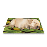 Hand-Drawn Corncob Pattern Print Pet Cooling Mat Cover