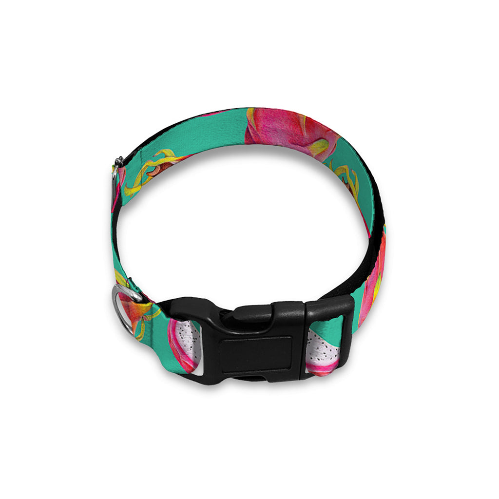 Hand Drawn Dragon Fruit Pattern Print Dog Collar