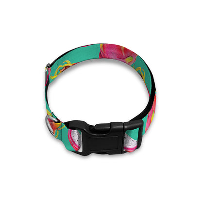 Hand Drawn Dragon Fruit Pattern Print Dog Collar