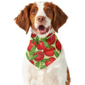 Hand Drawn Tomato Pattern Print Dog Bandana