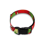Hand Drawn Tomato Pattern Print Dog Collar