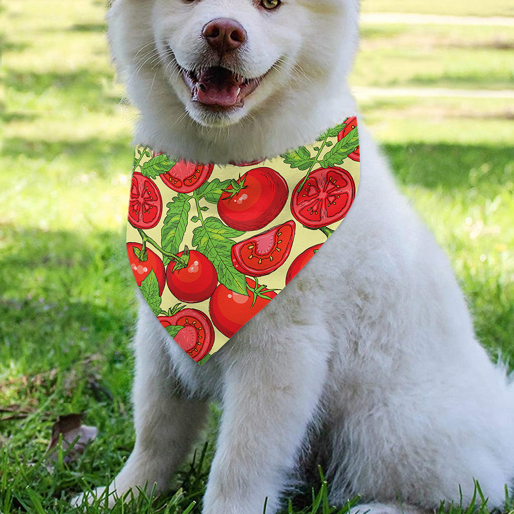 Hand Drawn Tomato Pattern Print Over The Collar Dog Bandana