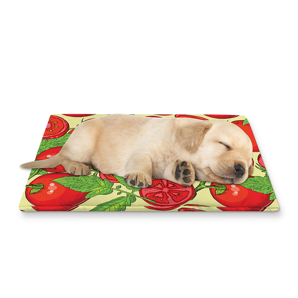 Hand Drawn Tomato Pattern Print Pet Cooling Mat Cover