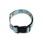 Happy Llama And Cactus Pattern Print Dog Collar