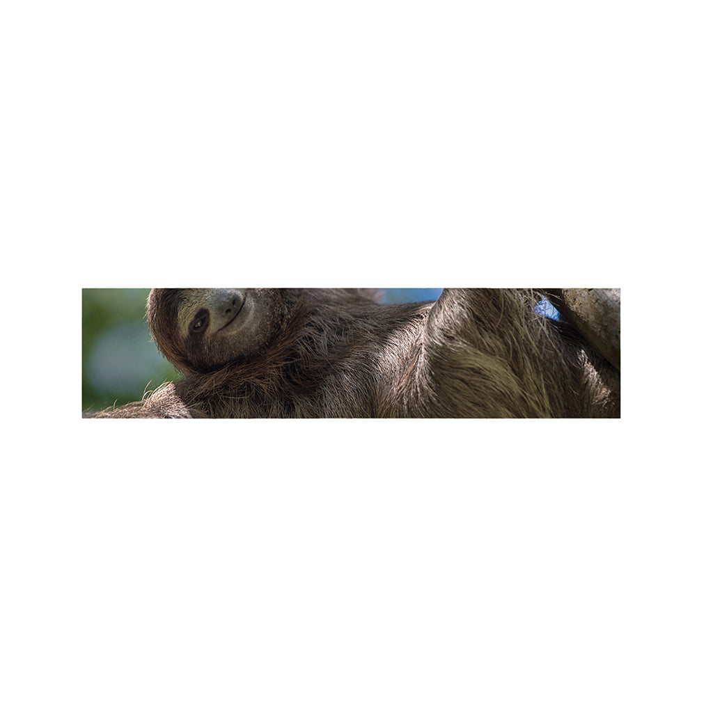 Happy Sloth Print Bed Runner
