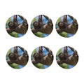 Happy Sloth Print Coaster Set