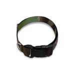 Happy Sloth Print Dog Collar