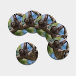 Happy Sloth Print Leather Coaster Set