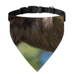 Happy Sloth Print Over The Collar Dog Bandana