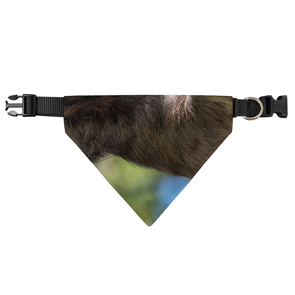 Happy Sloth Print Over The Collar Dog Bandana