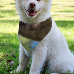 Happy Sloth Print Over The Collar Dog Bandana