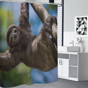 Happy Sloth Print Premium Shower Curtain