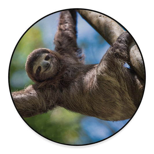 Happy Sloth Print Round Floor Mat