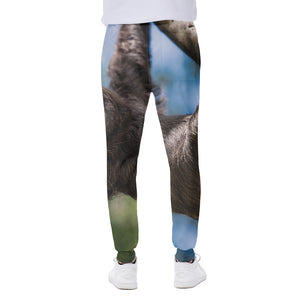 Happy Sloth Print Scuba Joggers