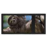 Happy Sloth Print Trifold Wallet